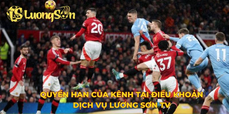 Quyền hạn của kênh tại điều khoản dịch vụ Lương Sơn TV