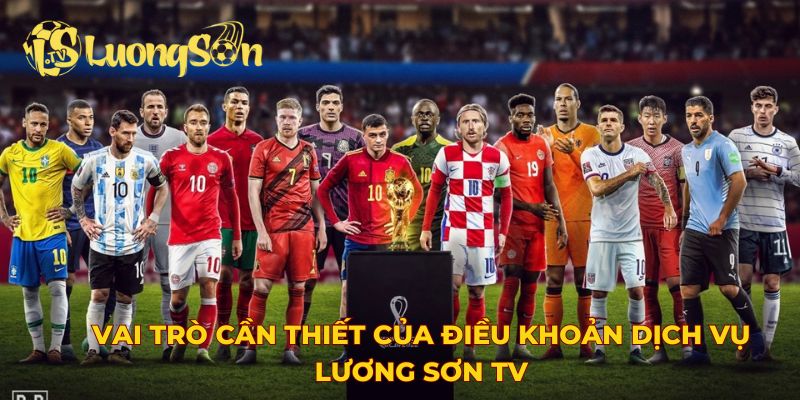 Vai trò cần thiết của điều khoản dịch vụ Lương Sơn TV