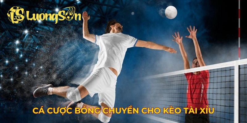 Cá cược bóng chuyền cho kèo tài xỉu