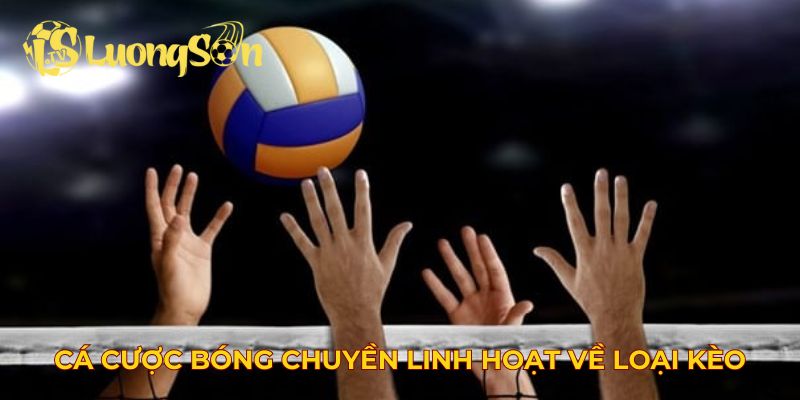 Cá cược bóng chuyền linh hoạt về loại kèo