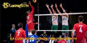 Cá cược bóng chuyền