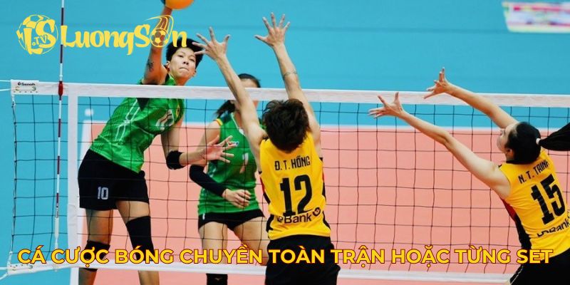 Cá cược bóng chuyền toàn trận hoặc từng set
