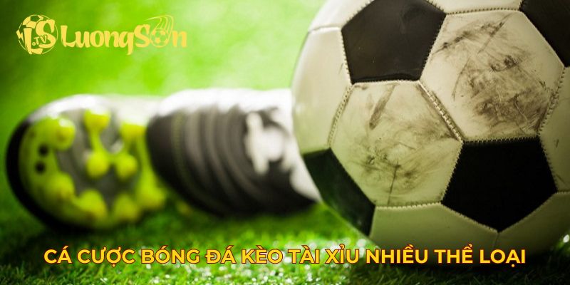 Cá cược bóng đá kèo tài xỉu nhiều thể loại
