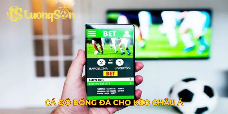 Cá độ bóng đá cho kèo châu Á