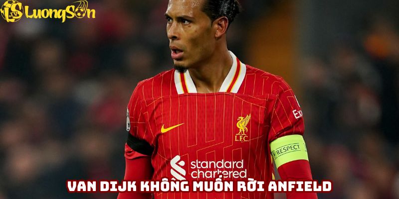Van Dijk khẳng định không muốn rời Anfield