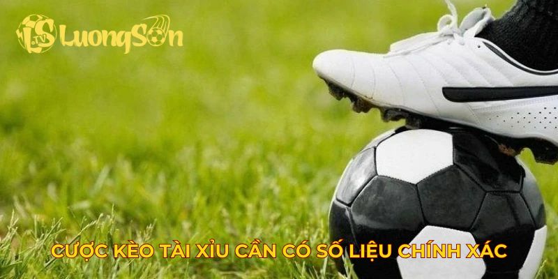 Cược kèo tài xỉu cần có số liệu chính xác