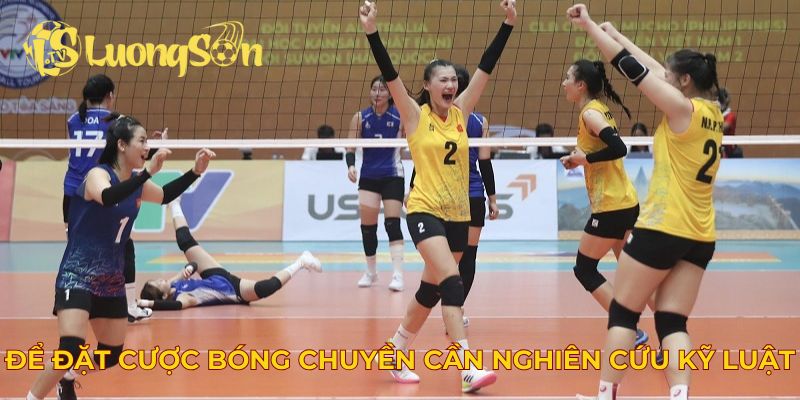 Để đặt cược bóng chuyền cần nghiên cứu kỹ luật chơi