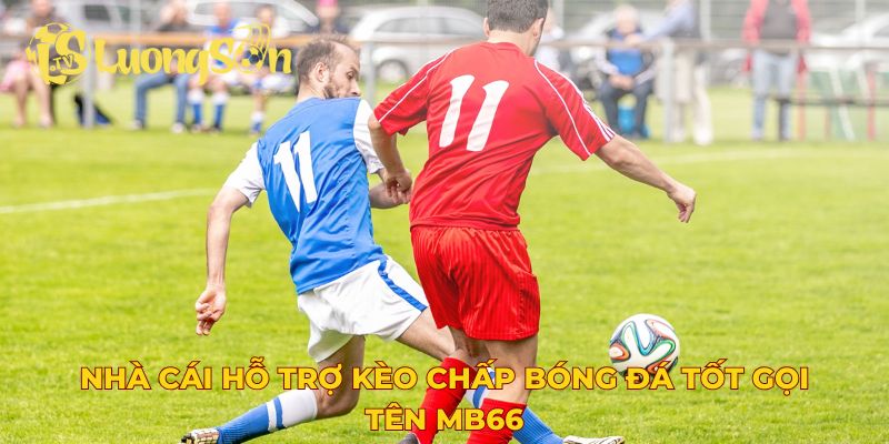 Nhà cái hỗ trợ kèo chấp bóng đá tốt gọi tên MB66