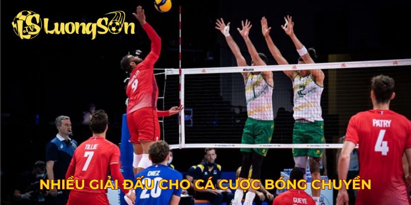 Nhiều giải đấu cho cá cược bóng chuyền