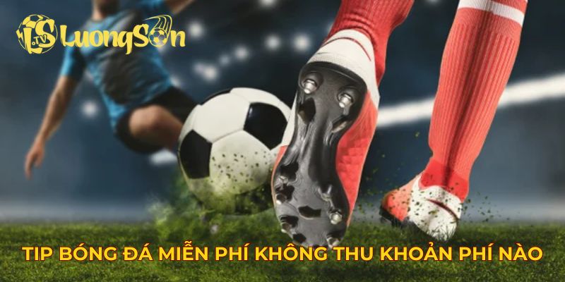 Tip bóng đá miễn phí không thu bất kỳ khoản phí nào