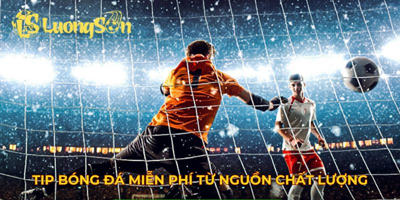 Tip bóng đá miễn phí từ nguồn chất lượng